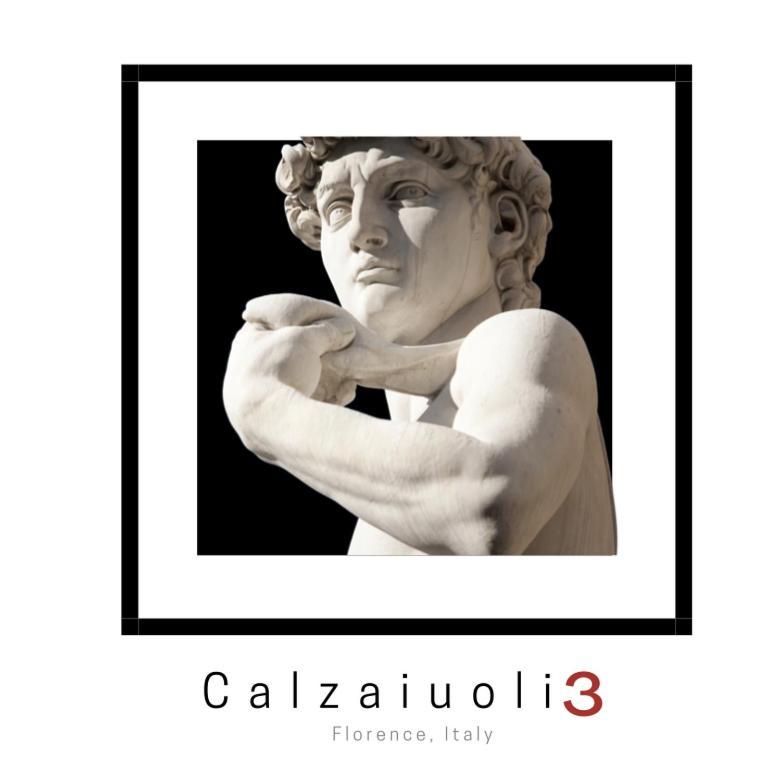 Calzaiuoli3 Luxury Flat In The City Center Of Firenze Kültér fotó